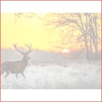 3 dagen Veluwe HP