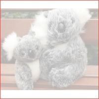 Koala knuffelbeer - Steun een goed doel..