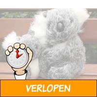 Koala knuffelbeer - Steun een goed doel!