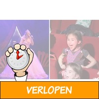 Ticket voor De Mega Sprookjes Show