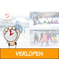 Skien of snowboarden (4 uur) bij SnowWorld