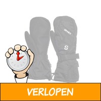 Sinner Everest Mitten herenhandschoenen