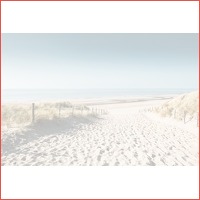 3 of 4 dagen bij Noordwijk strand