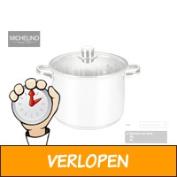 Michelino RVS soeppan 11 liter