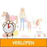 Barbie paard en pony speelset