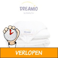 Dreamio eendendonzen vierseizoenendekbed