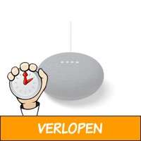 Google Nest Mini Charcoal