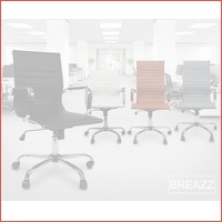 Breazz ergonomische bureaustoel