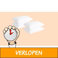 Set van 4 Herzberg kussens