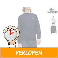 Lacoste Sweater Cotton Blend