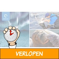 Entree voor het Dolfinarium