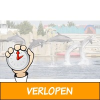 Tickets Dolfinarium Harderwijk