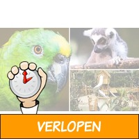 Entree voor Papegaaienpark Zoo Veldhoven