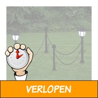 vidaXL sierhekwerk met 2 solarlampen