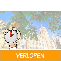 Verblijf in hartje Valencia