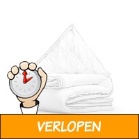 3D air 4-Seizoenen dekbed