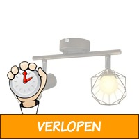 vidaXL wandverlichting met 2 LED's