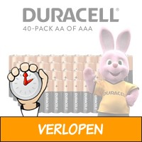 40 x originele Duracell batterijen