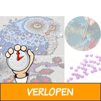 Diamond painting goedkoop - pakket aanbieding | Voucher..