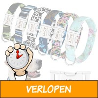 Gepersonaliseerde hondenhalsband