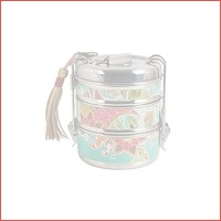 Tiffin lunchbox