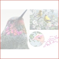 Nu 50% korting: Diamond painting vogels