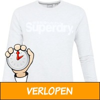 Superdry sweater