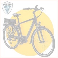 Elektrische fiets - dames