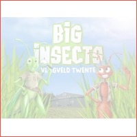 Leer alles over insecten bij BIG INSECTS..