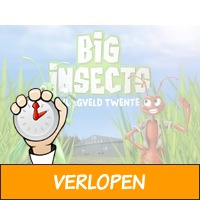 Leer alles over insecten bij BIG INSECTS op Vliegveld T..