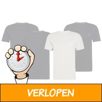 Set van 2 Calvin Klein t-shirts voor heren