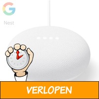 Google NEST mini