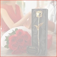 Gouden Roos - 24kt Golden Rose