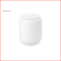 Sony SRS-XB10 Portable Bluetooth speaker