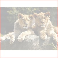 Entreeticket voor Dierenpark Parijs