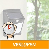 Solar Powered Wall Light with Motion Detector