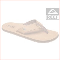 Reef Smoothy slippers