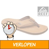 Reef Smoothy slippers