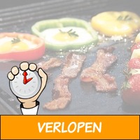 Grilmat voor de BBQ of oven