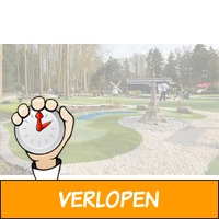 Amsterdam: spelen op een minigolf- of grasbaan bij Mini..