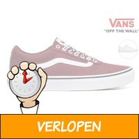 Vans Ward canvas sneakers