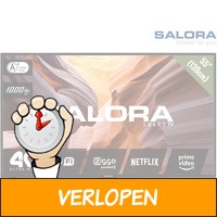 Salora 55UHS3804 4 K Ultra HD Smart TV