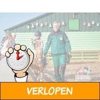 Kom spelen en ontdekken bij Avonturenboerderij Molenwaa..