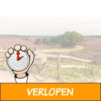 3 dagen in Arnhem bij Nationaal Park De Hoge Veluwe