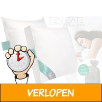 Ten Cate Cool Night hoofdkussens