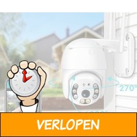 Op Afstand Bestuurbare IP-Camera