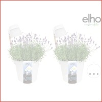 2 x Elho Flowerlight bloempot