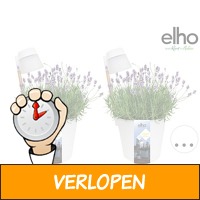 2 x Elho Flowerlight bloempot