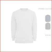 Pierre Calvini sweater