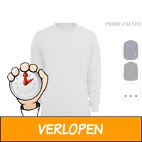 Pierre Calvini sweater